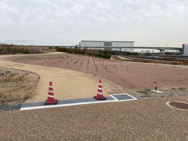 尼崎の森中央緑地　エッジボード・防草シート